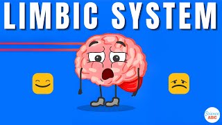 Emotions and the Brain What is the limbic system [upl. by Bashemath]