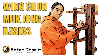 Wing Chun Muk Jong Wooden Dummy Beginners Training Drill Developing One Technique [upl. by Pavior]