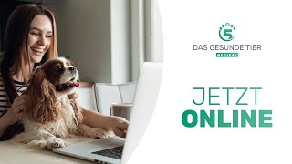 DGT MEDICAL  Deine Online Tierärzte mit Herz [upl. by Guenzi]