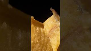 Banana Peeling Closeup Macro ASMR [upl. by Cindi]