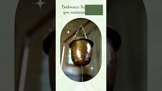 Holistic Ayurvedic Remedies for Parkinsons disease Effective Healing Vaidya healthcare [upl. by Anij]