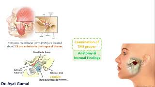 Head amp neck exam IV TMJ introduction [upl. by Chrystal349]