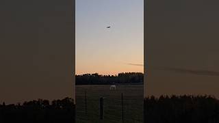 Majestic Moments White Horse and Airplane in a Fall Evening 🌅🍂 [upl. by Knick]