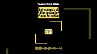 Medical Music Pathogenesis of Atherosclerotic Plaque Formation [upl. by Cormier]