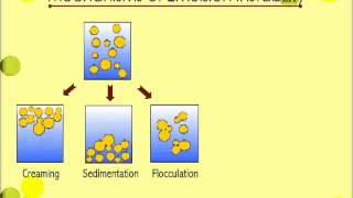 Mechanism Emulsion Instability [upl. by Gudrun]