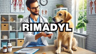 What Is Rimadyl For Dogs Explained [upl. by Aserehs]