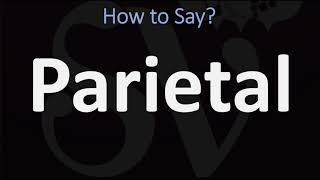 How to Pronounce Parietal CORRECTLY [upl. by Ateuqirne148]