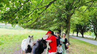 lydiard park uk❤️ [upl. by Ayahc249]