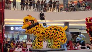 马来西亚传统舞狮锦标赛 首届梳邦杯之狮战辉煌 1st Subang Cup Traditional Lion Dance Selangor Qi Xin 雪蘭莪齊心龍獅體育會 [upl. by Behn]