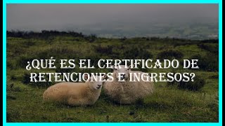 ¿Qué es el certificado de retenciones e ingresos [upl. by Grega]