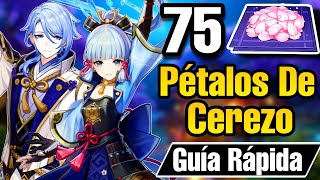 🌸PÉTALOS DE CEREZO  RUTA DE FARMEO Para AYAKA y AYATO Material de Ascensión Genshin Impact [upl. by Nirra]