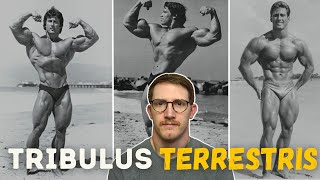 Tribulus Terrestris  The Old School Testosterone Booster [upl. by Dulci780]