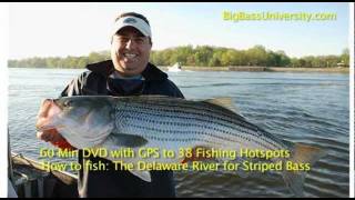 Delaware River Striper Fishing DVD [upl. by Vlada425]