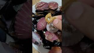 Cooked sea shell shorts seashell seafood asmr satisfying viralvideo crizwanderlust [upl. by Grimbly]