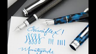 JoWo Omniflex Overview  NEW Nib Design [upl. by Neirda927]