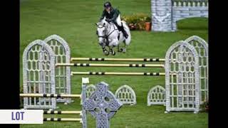 Performance Sale Cavan Equestrian Centre [upl. by Sinegra]