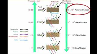 Membrane Systems  Terminology [upl. by Krystyna]