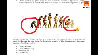 Evolution 1 1 biology form 4 [upl. by Healey]