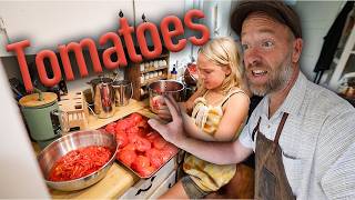 Tomatoes Harvest  Cook amp Preserve [upl. by Meakem501]