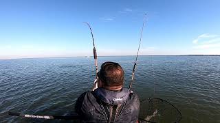 Lake Tawakoni catfish [upl. by Gnilsia]