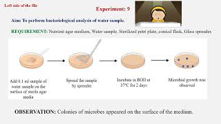 Exp Microbiology B Pharma 3rd Sem To perform bacteriological analysis of water sample [upl. by Notsej]