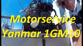 Unser Yanmar 1GM10 bekommt ein komplettes Motorservice [upl. by Nnylharas270]