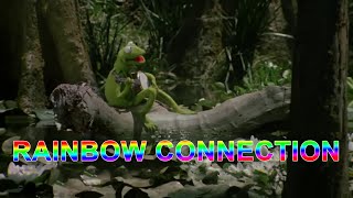 Kermit the Frog  Rainbow Connection  The Muppets  Steve Whitmire [upl. by Proudman]