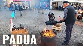 PADUA Padova Veneto Italy walking tour in 4k 🍂 Autumn walk PART 2 [upl. by Leupold]