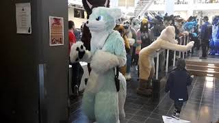 Nordic FuzzCon 2019 fursuit parade [upl. by Mastic]