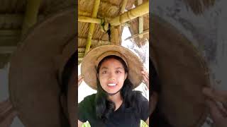 daily life  live streaming  jia amalia [upl. by Stearne626]