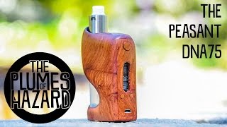 Understudy Reviews the DNA75 Peasant Mods Squonker [upl. by Wobniar]