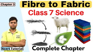 Fibre to Fabric  Class 7 science Chapter 3 Full Chapter [upl. by Attesoj]