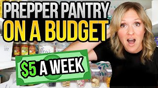 Prepare your Food Storage How to Stock Your Prepper Pantry for Only 5 a Week 2023 [upl. by Richter586]