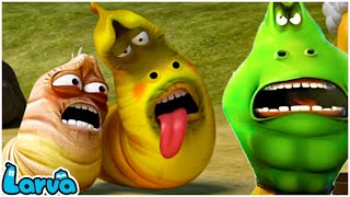 LARVA 2025  LARVA RANGERS VS ZOMBIE  Videos For Kids  LARVA Official  Roblox [upl. by Adnana697]