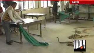 Snake Charmer Releases Snakes In UP Tehsil [upl. by Akli]