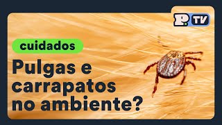 Como acabar com pulgas e carrapatos em cães e gatos [upl. by Bohs]