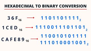 Hexadecimal to Binary Conversion  PingPoint [upl. by Myrtle]