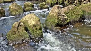 Wasserfall Geräusche und Wassergeräusche vom Wasserfall [upl. by Oirasan]