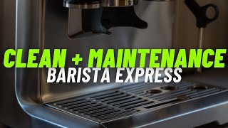 Cleaning My Coffee Maker  Sage Barista Express 4K [upl. by Radbun460]