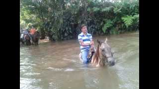 Cabalgatas en Villavicencio y Clases de Monta a Caballo [upl. by Aserehtairam618]