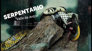 Serpentario en el Valle de Antón Panamá  Vlog 50 [upl. by Aroz]