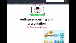 Immunology L8 C1C2 Antigen processing amp presentation P1 [upl. by Duffy]