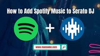 How to Add Spotify Music to Serato DJ Pro or Lite  Import Music from Spotify to Serato DJ [upl. by Ihculo]