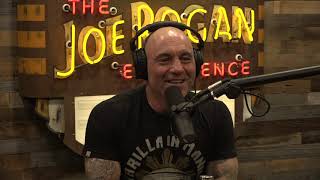 Joe Rogan Experience 1647  Dave Chappelle [upl. by Oelak]