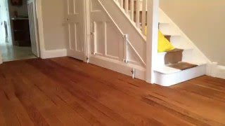 Oak Hallway Floor Sanding Staining and Sealing by Floorcare Services [upl. by Oeramed]