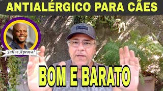 ANTIALÉRGICO PARA CÃES BOM E BARATO [upl. by Tinya]