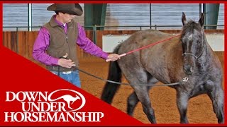 Clinton Anderson Intermediate Testing Groundwork Part 1  Downunder Horsemanship [upl. by Ahsimak70]