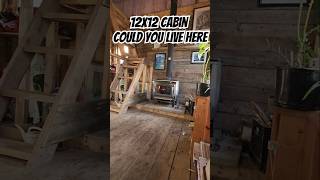 12x12 Cabin Could You Live Here [upl. by Hillyer]