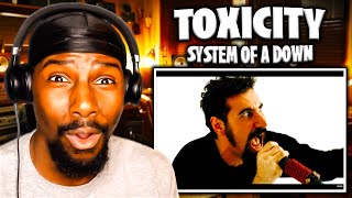 SO INTENSE  Toxicity  System Of A Down Reaction [upl. by Zima544]