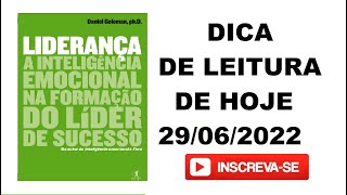 AUDIOBOOK  LIDERANÇA A INTELIGÊNCIA EMOCIONAL NA FORMAÇÃO DO LIDER DE SUCESSO [upl. by Jerry]